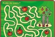 Labirint, boshqotirma, mashg’ulotlar bolalar uchun