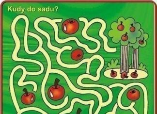 Labirint, boshqotirma, mashg’ulotlar bolalar uchun